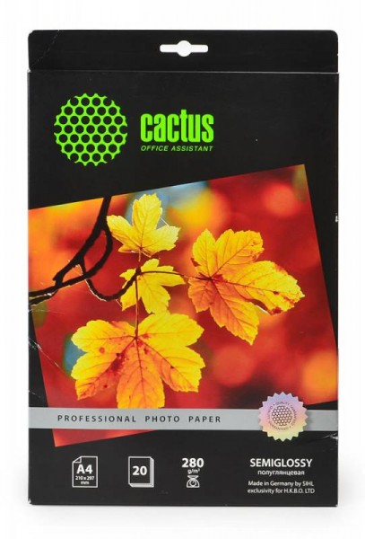  Cactus Prof CS-SGA428020 A4 280 20.  