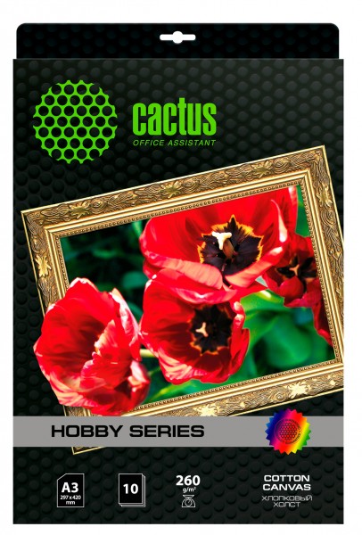  Cactus CS-CA326010 A3 260 10.     