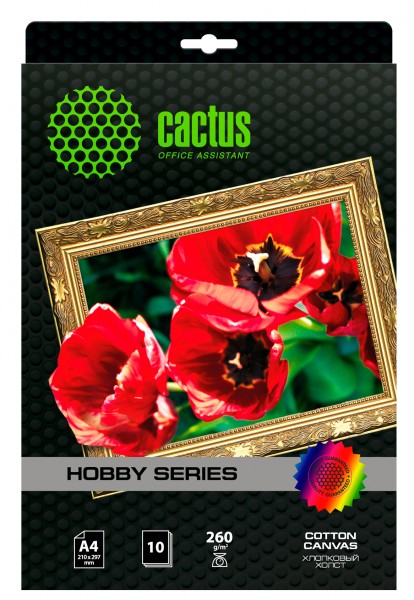 Холст Cactus CS-СA426010 A4 260г 10л. белый для струйной печати
