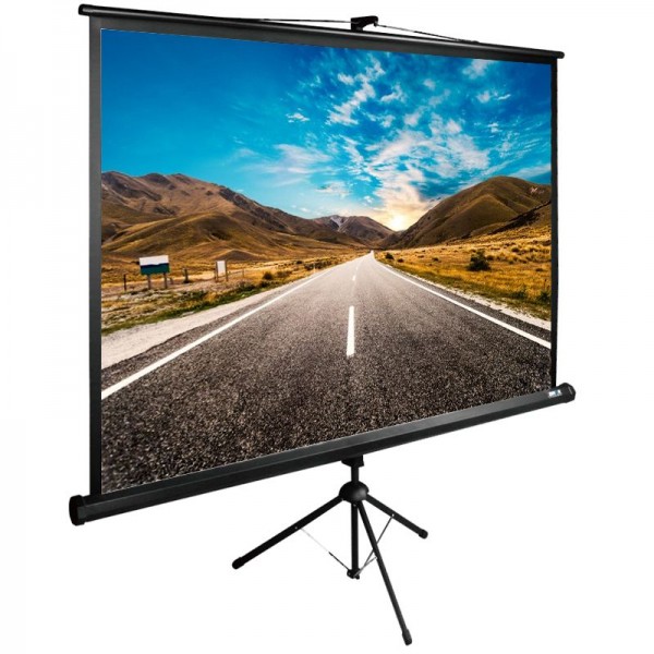Экран Cactus 160x160см TriExpert CS-PSTE-160X160-BK напольный рулонный  