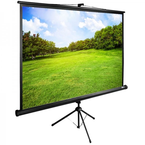 Экран Cactus 150x200см TriExpert CS-PSTE-200X150-BK напольный рулонный 
